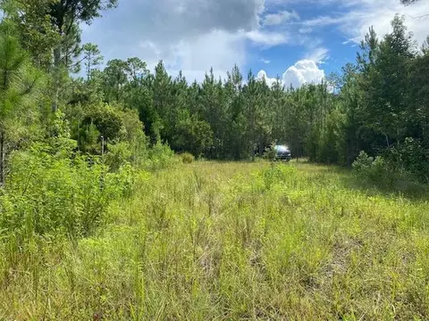470 Hickory Hammock Rd, Carrabelle, FL 32322 photo 14