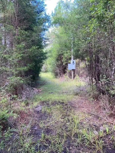 470 Hickory Hammock Rd, Carrabelle, FL 32322 photo 12