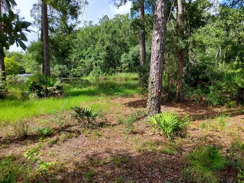 470 Hickory Hammock Rd, Carrabelle, FL 32322 photo 2