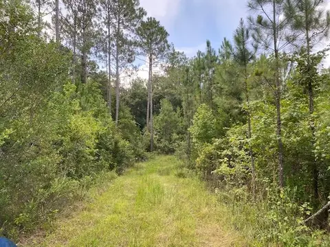 470 Hickory Hammock Rd, Carrabelle, FL 32322 photo 11