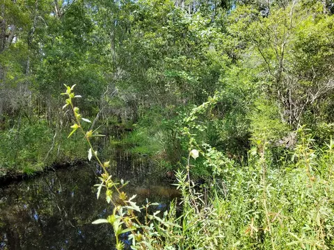 470 Hickory Hammock Rd, Carrabelle, FL 32322 photo 10