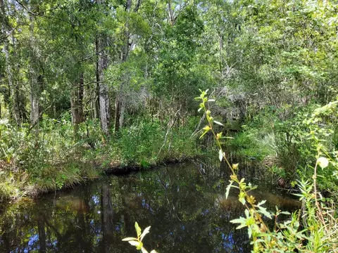 470 Hickory Hammock Rd, Carrabelle, FL 32322 photo 9