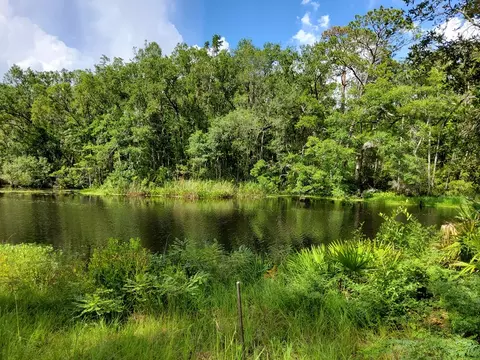470 Hickory Hammock Rd, Carrabelle, FL 32322 photo 5