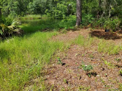 470 Hickory Hammock Rd, Carrabelle, FL 32322 photo 3