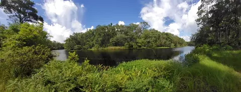 470 Hickory Hammock Rd, Carrabelle, FL 32322 photo 7