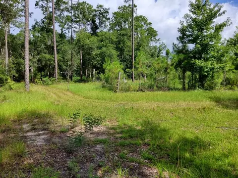 470 Hickory Hammock Rd, Carrabelle, FL 32322 photo 1