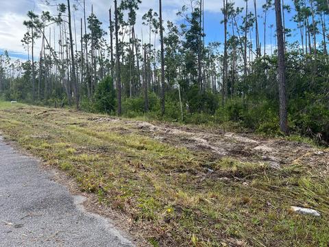 lot33 E Bay Dr, Wewahitchka, FL 32465