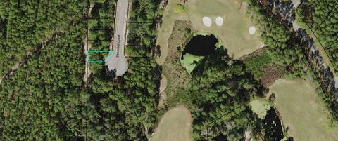 129 Spoonbill Ct, Carrabelle, FL 32322 photo 1