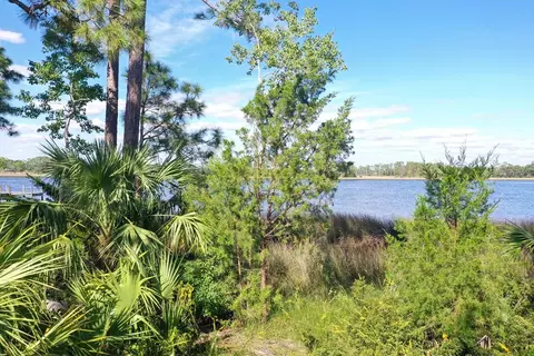 183 River Rd, Carrabelle, FL 32322 photo 19