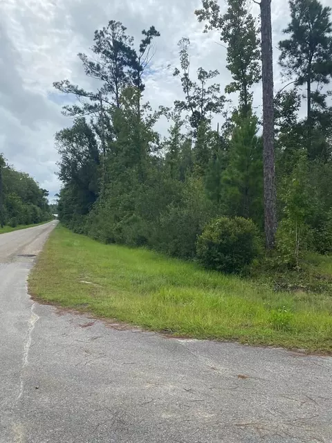 Tba Canning Dr, Wewahitchka, FL 32465