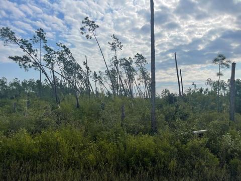 Lot 2 S Long St, Overstreet, FL 32456
