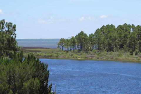 839 Mariners Ct, Carrabelle, FL 32322 photo 15
