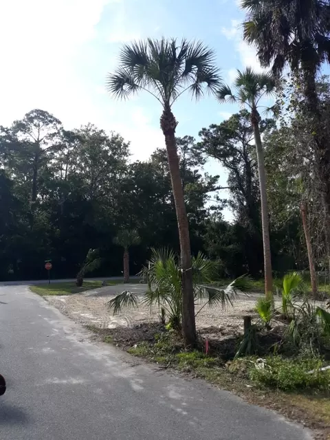 0 Port Leon Dr, Saint Marks, FL 32355 photo 2