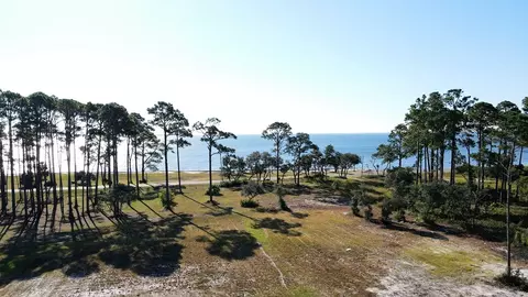 130 Shell Bay Ct, Carrabelle, FL 32322 photo 9