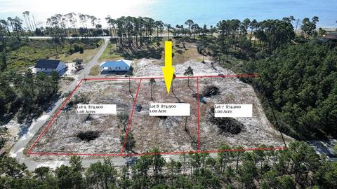 130 Shell Bay Ct, Carrabelle, FL 32322 photo 1