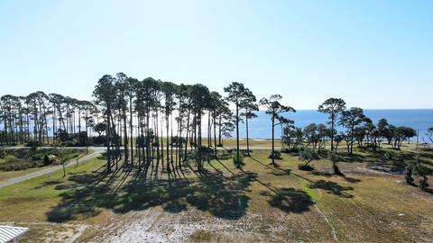 120 Shell Bay Ct, Carrabelle, FL 32322 photo 8