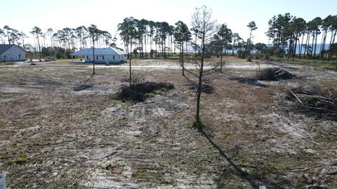 120 Shell Bay Ct, Carrabelle, FL 32322 photo 3