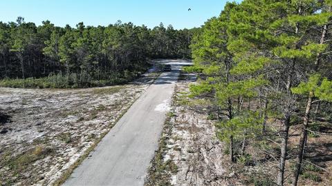 120 Shell Bay Ct, Carrabelle, FL 32322 photo 6