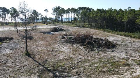 120 Shell Bay Ct, Carrabelle, FL 32322 photo 4