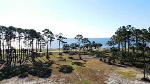 120 Shell Bay Ct, Carrabelle, FL 32322 photo 9