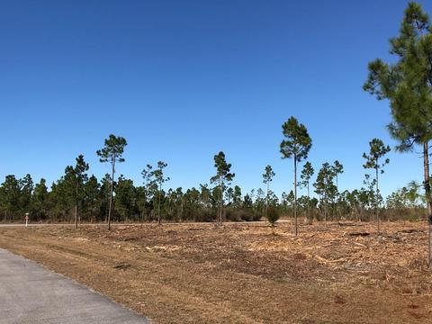 lot133 Torrey Pine Trl, Wewahitchka, FL 32465