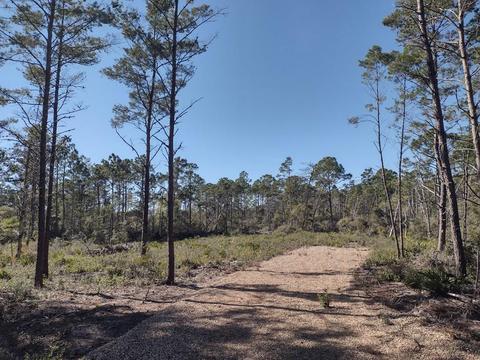 266 River Rd, Carrabelle, FL 32322 photo 1