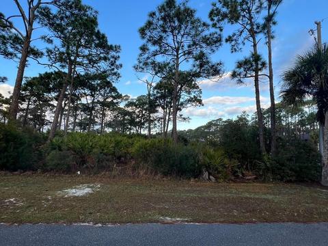 lot23 Mariner Ln, Cape San Blas, FL 32456