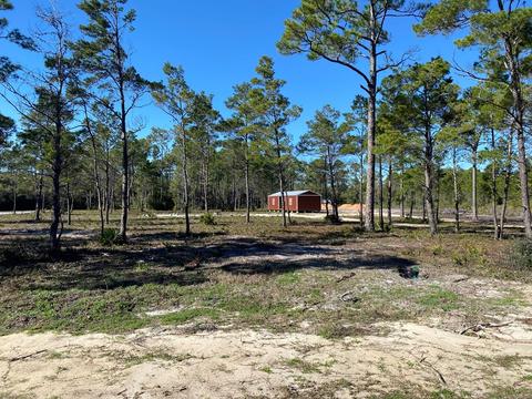 1871 Beacon St, Carrabelle, FL 32322 photo 3