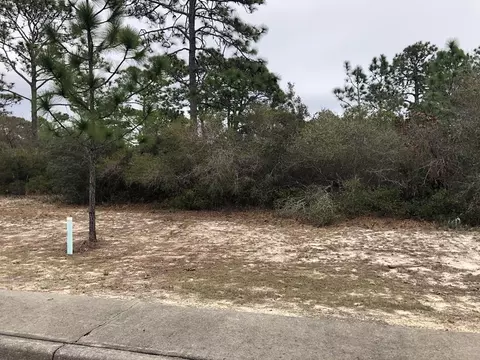 120 Anhinga Trl, Carrabelle, FL 32322 photo 1