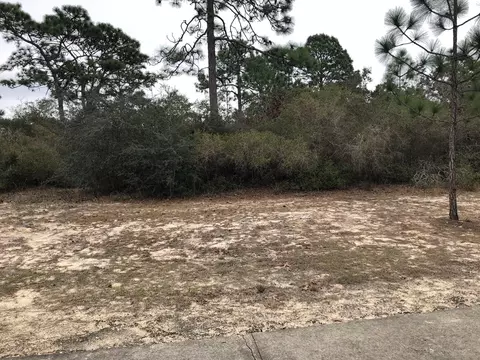 120 Anhinga Trl, Carrabelle, FL 32322 photo 17