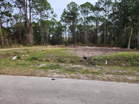 2468 Florida Ave, Carrabelle, FL 32322 photo 17