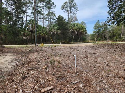 2468 Florida Ave, Carrabelle, FL 32322 photo 10