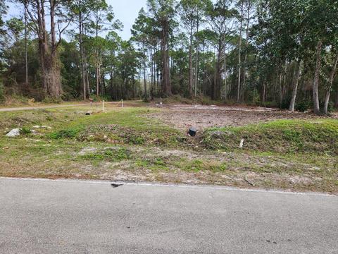 2468 Florida Ave, Carrabelle, FL 32322 photo 28