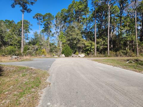 2468 Florida Ave, Carrabelle, FL 32322 photo 29
