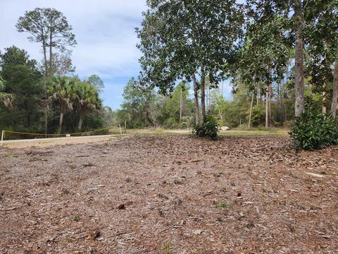 2468 Florida Ave, Carrabelle, FL 32322 photo 16