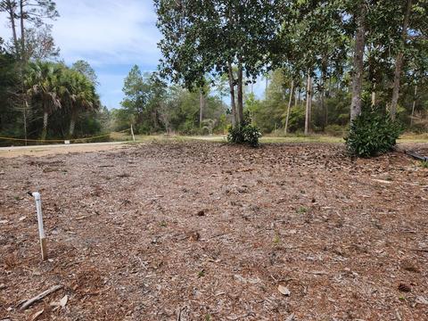 2468 Florida Ave, Carrabelle, FL 32322 photo 3