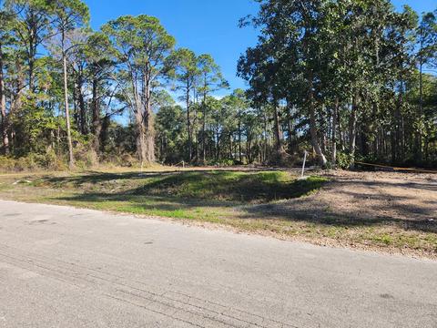 2468 Florida Ave, Carrabelle, FL 32322 photo 8