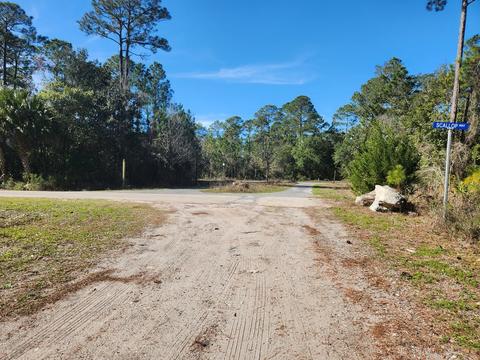 2468 Florida Ave, Carrabelle, FL 32322 photo 30