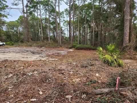 2468 Florida Ave, Carrabelle, FL 32322 photo 24