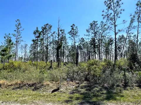 lot7 Chellsey St, Wewahitchka, FL 32465