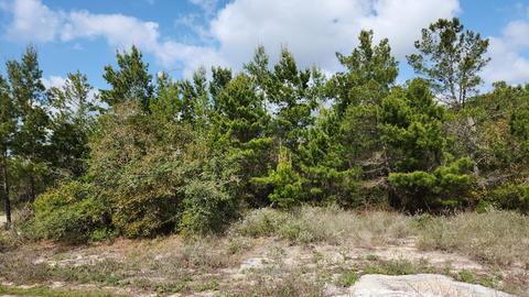 264 Ante-beppum Loop, Carrabelle, FL 32322 photo 1