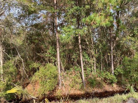 22 Oak St, Carrabelle, FL 32322 photo 4