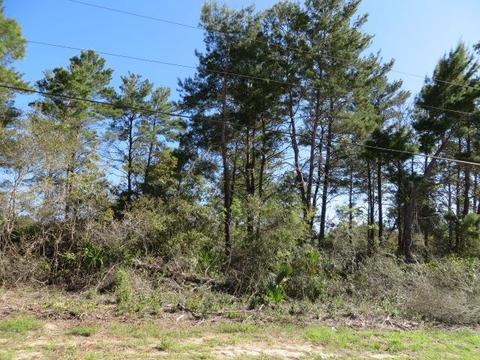 1838 Lighthouse Rd, Carrabelle, FL 32322 photo 4