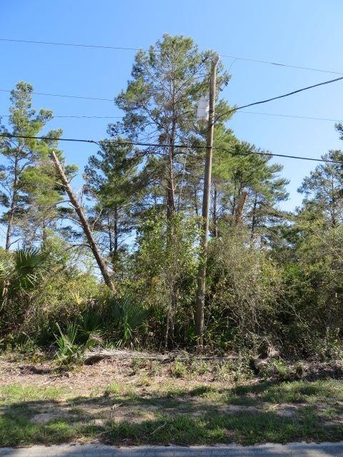 1838 Lighthouse Rd, Carrabelle, FL 32322 photo 3