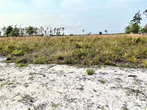 lot4 Margies Ln, Wewahitchka, FL 32465