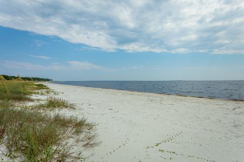 108 Haven Ct, Carrabelle, FL 32322 photo 18