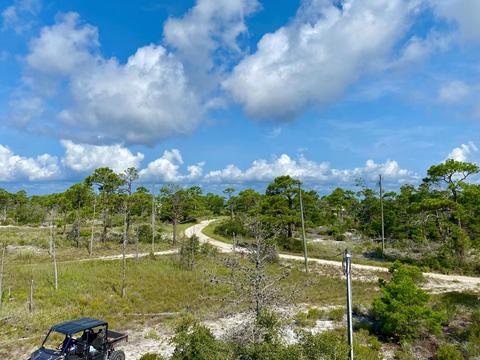 782 Valley Rd E, Carrabelle, FL 32322 photo 19