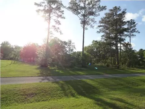 tbd Charlie Gaskin Dr, Wewahitchka, FL 32465