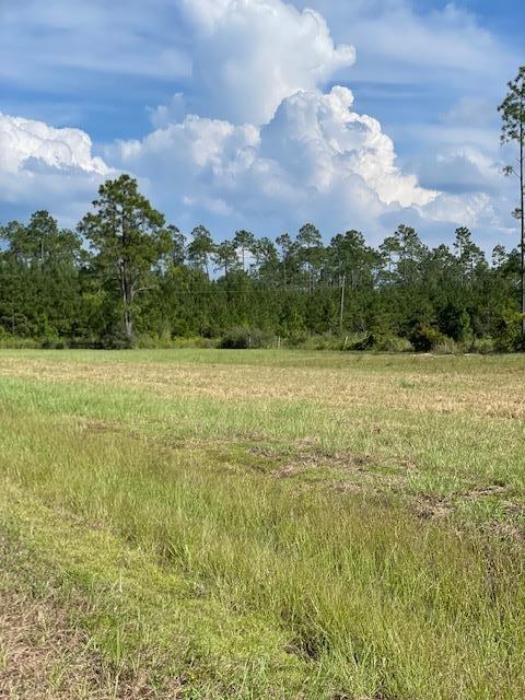 lot11 12 Spanish Moss Way, Wewahitchka, FL 32465