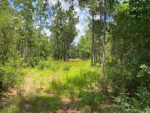 tbd Myers Rd, Wewahitchka, FL 32465